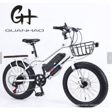 20inch 500W 48V13ah OEM/ODM En15194 Big Tire Front Cargo Rear Cargo Kid Ce Chinese Custom Snow Fat Tire Electric Bike 3